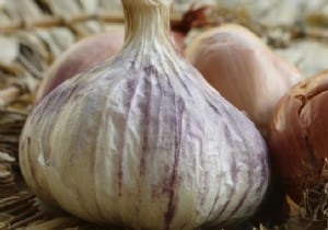 The Health Benefits of Garlic, an Unrecognized Natural Remedy. 