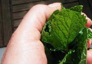 6 Time-Tested Natural Fever Remedies Passed Down from Grandma