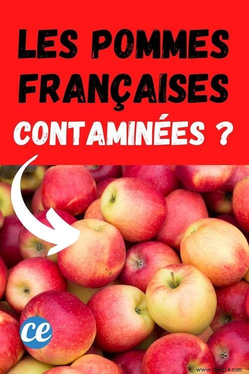 French Apples Are Well Poisoned With Pesticides:Justice Proves Greenpeace Right. 