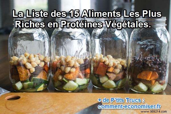 The 15 Foods RICHEST in Vegetable Proteins. 