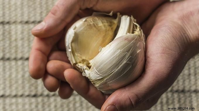 13 Amazing Uses of Garlic You Didn t Know About. 