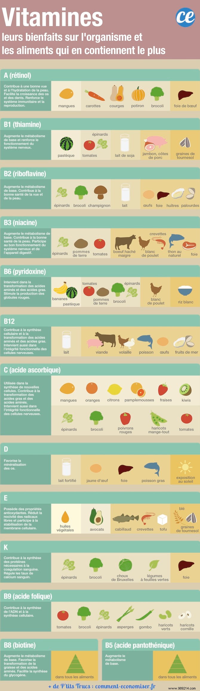 Guide to Vitamins:What Are Their Benefits and Which Foods Have The Most? 