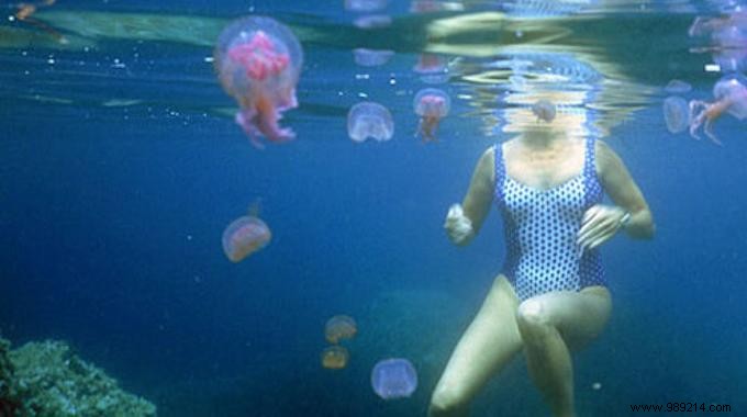 Jellyfish stings? FAST and Effective Grandmother s Remedy. 