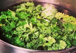 Parsley Compresses For Irritated Eyes Due To Conjunctivitis. 