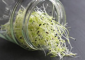 Difficult to digest Garlic? Here is the Tip to Know. 