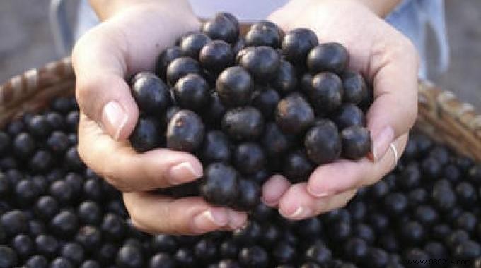 The 3 Health and Slimming Benefits of Acai Berry You Need to Know. 