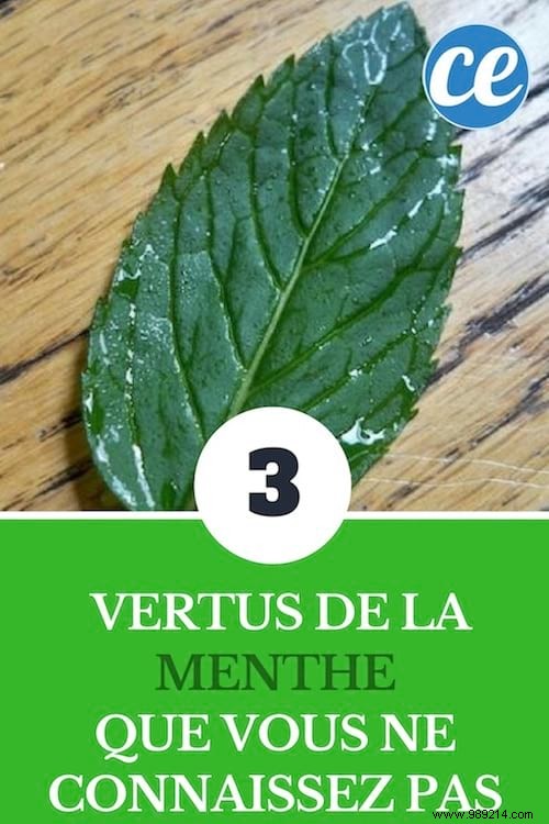 The 3 virtues of mint that you don t know. 
