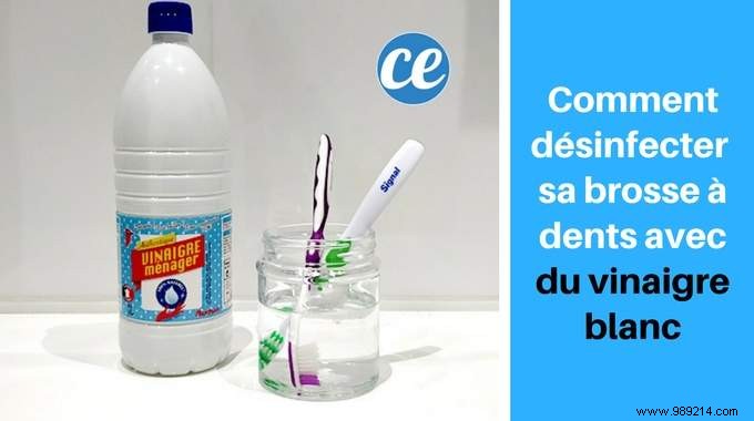 How To Disinfect And Sterilize Your Toothbrush With White Vinegar. 