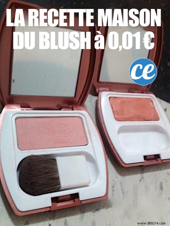 The Homemade Blush Recipe for Only 1 Euro Cent! 