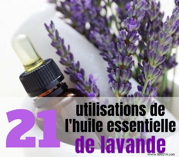 21 Lavender Essential Oil Uses Everyone Should Know. 