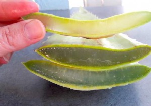 Soothe Sunburn Naturally: Use Fresh Aloe Vera for Hydration and Relief