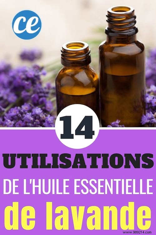 Lavender Essential Oil:14 Uses Everyone Should Know. 