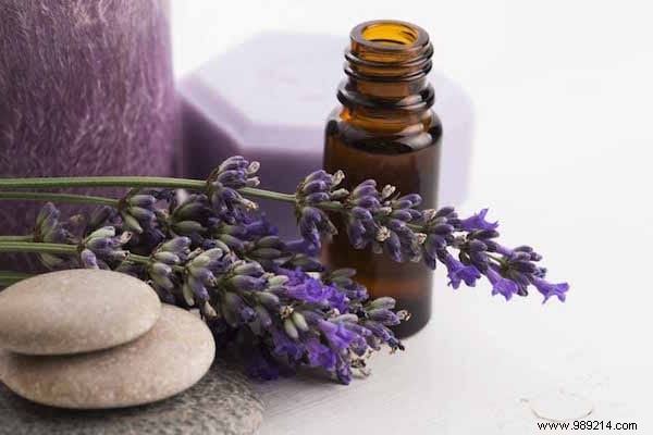 Lavender Essential Oil:14 Uses Everyone Should Know. 