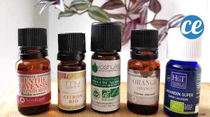 7 Essential Oil-Based Cleaner Recipes For A Nickel Home. 