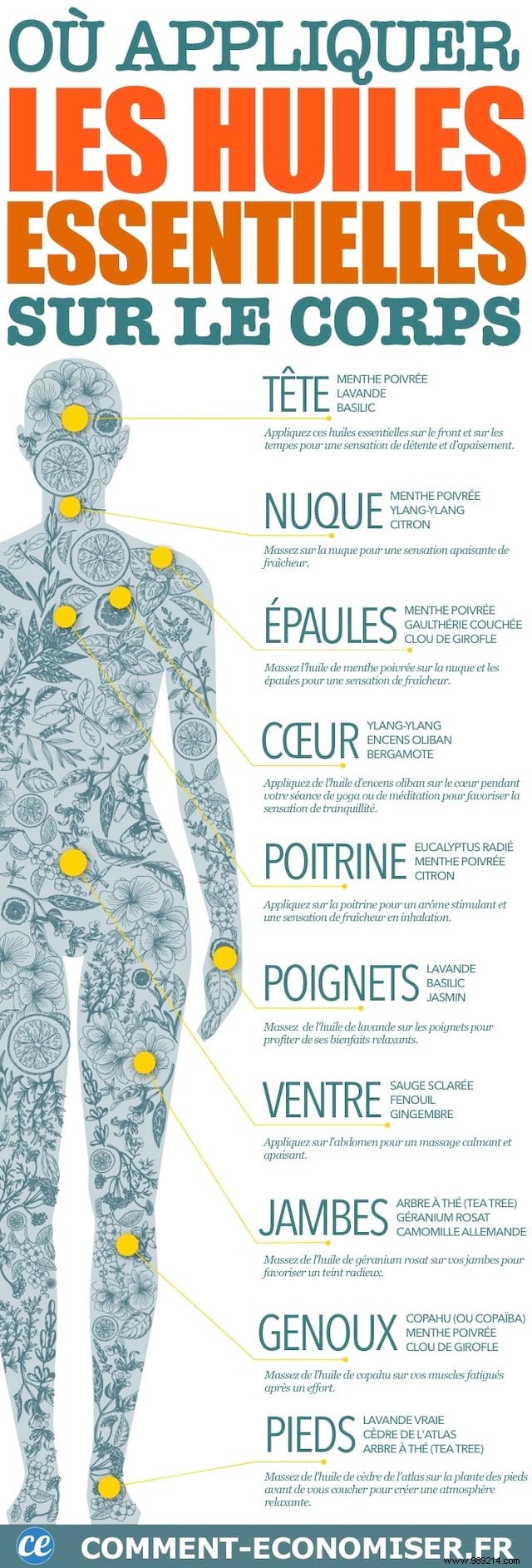 Where to Apply Essential Oils on the Body? The Essential Guide. 