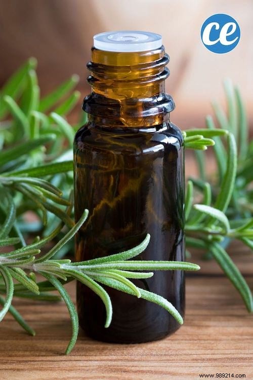Rosemary Essential Oil:12 Scientifically Proven Benefits. 