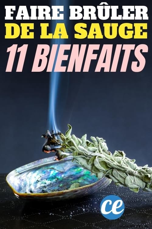 Burning Sage:11 Incredible Health Benefits. 