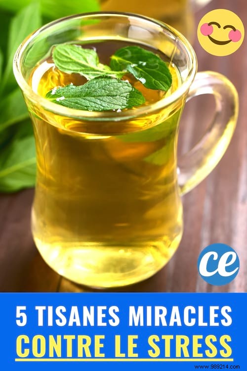 5 Miracle Herbal Teas To Say Goodbye To Stress And Anxiety. 