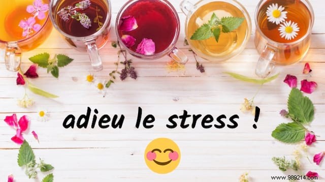 5 Miracle Herbal Teas To Say Goodbye To Stress And Anxiety. 