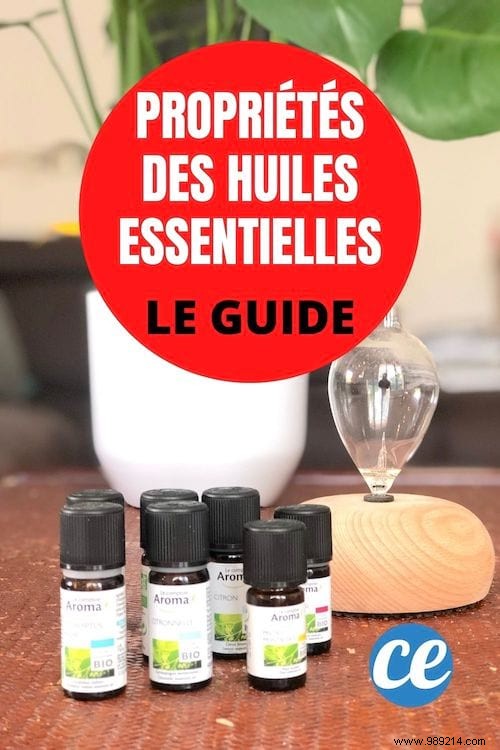 Which Essential Oils For Which Ailments? The Essential Guide. 