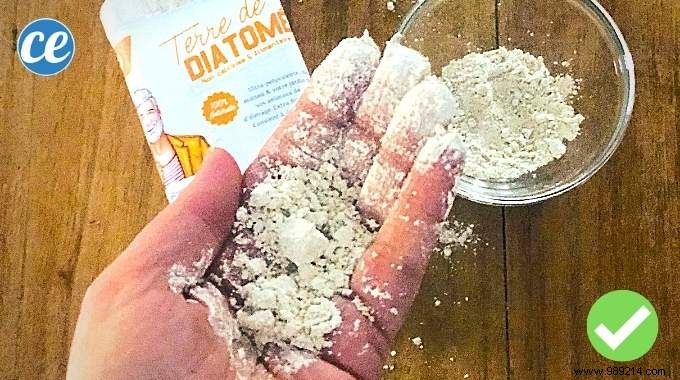 10 health benefits of diatomaceous earth that no one knows about. 