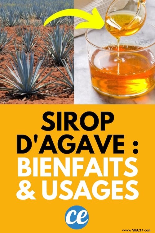 Agave Syrup:Benefits, Uses and Limitations. 