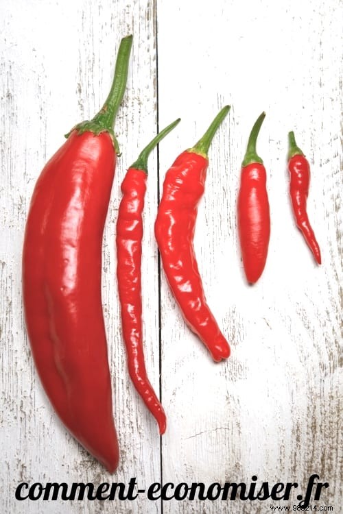 8 Health Benefits Of Chilli Nobody Knows About. 