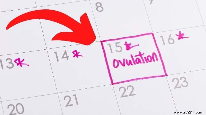 How do you know if you are ovulating? 6 Signs That Do Not Deceive. 
