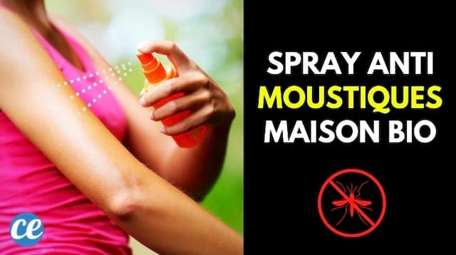Make Your Organic Mosquito Repellent Spray in 30 Secs (For Only 1 Euro). 