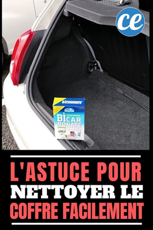 The Tip To Clean And Deodorize The Trunk Of The Car Effortlessly. 