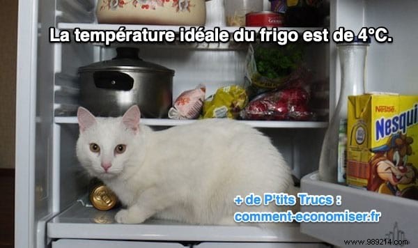 What is the ideal temperature in the fridge? 
