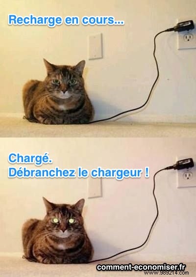 Saving Electricity:Don t Forget To Unplug Your Charger! 