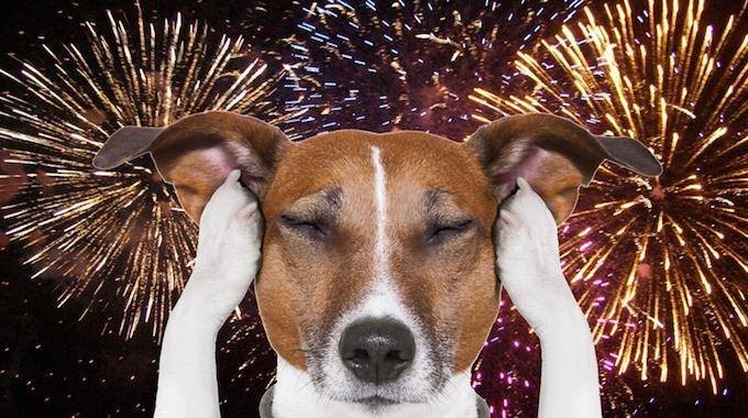 This Simple Trick Will Help You Keep Your Dog CALM During Fireworks. 