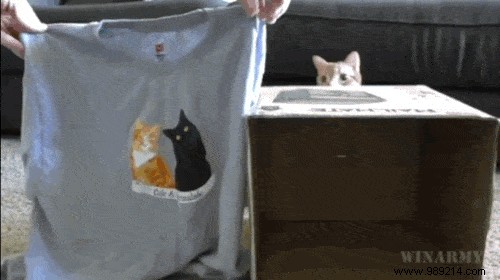 How to Make a Cat House with a T-Shirt. 