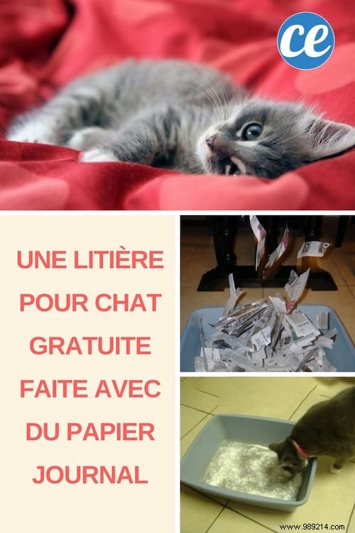 A Free Cat Litter Made with Newsprint. 