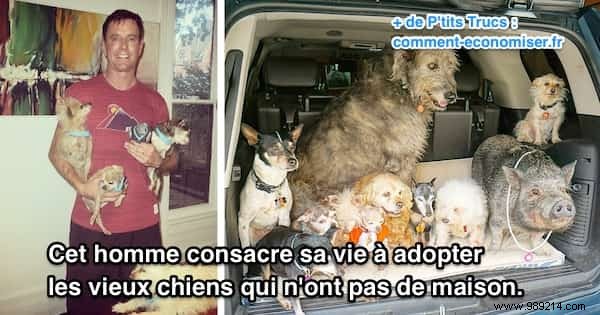 This Man Dedicates His Life To Adopting Old Dogs Who Have No Home. 