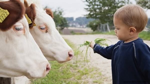 Should We Teach the Love of Animals at School? 