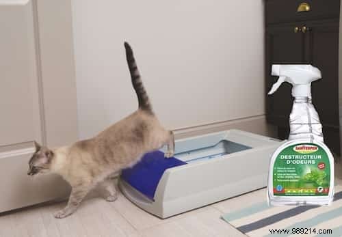 7 All-Natural Products for Cleaning Cat Litter. 