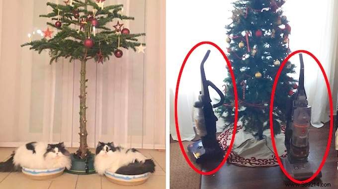 18 Photos of People Who Found a Trick to Protect the Christmas Tree from Cats and Dogs. 