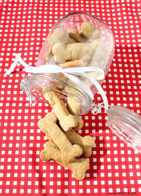 No More Buying Dog Treats! Here are 4 Super Easy Recipes to Make. 