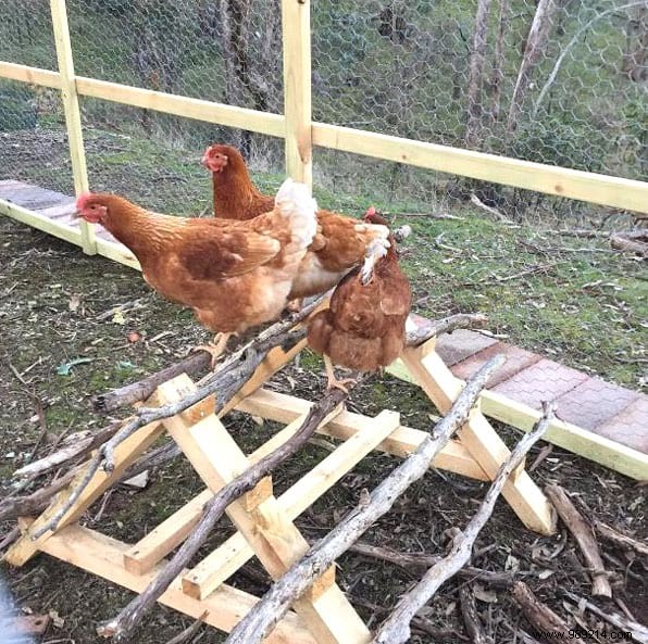 17 Tips For Your Chicken Coop That Will Make Your Hens Happy! 