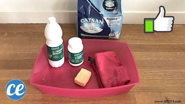 The Super Tip To Deodorize, Disinfect And Clean Cat Litter. 