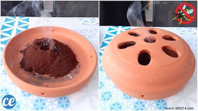 Get Rid of WASPS By Burning Ground Coffee. Here s how ! 
