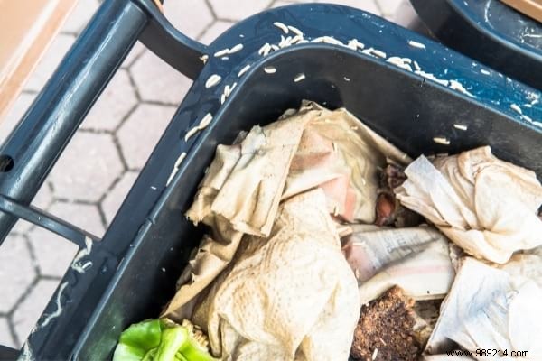 Maggots in the Bin:How to Avoid Them (And Get Rid of Them Fast). 