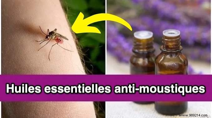 7 Mosquito Repellent Essential Oils to Urgently Put in Your Diffuser. 