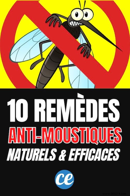 Mosquitoes:10 Natural Tricks That Work To Scare Them Away! 
