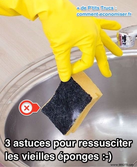 3 Tips To Resurrect Old Sponges (And Save Money!). 