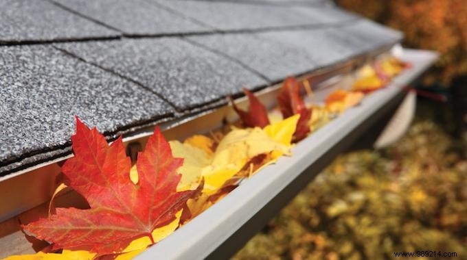 Tired of Removing Leaves from the Gutter? Tip to Know. 