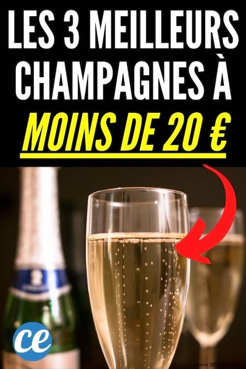 The 3 Best Champagnes at Less than 20€ For Great Holidays (WITHOUT Breaking the Bank). 