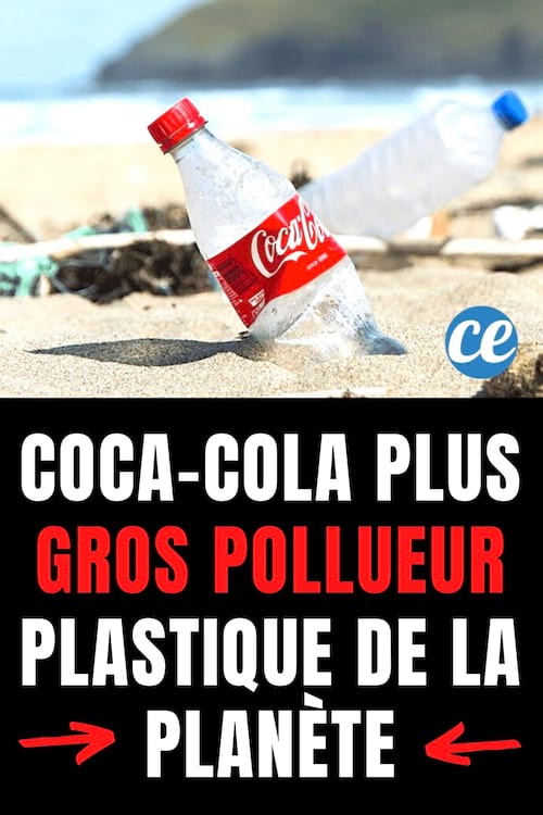 Coca-Cola Is the Company That Causes the Most Plastic Pollution in the World. 